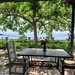 Appartement Stella Vineyard *