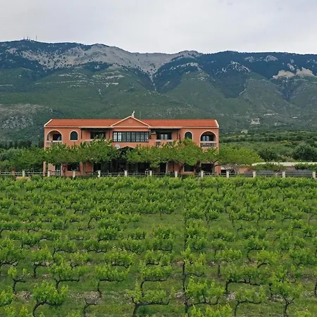 Stella Vineyard *