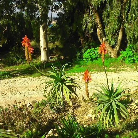 Appartement Stella Vineyard *